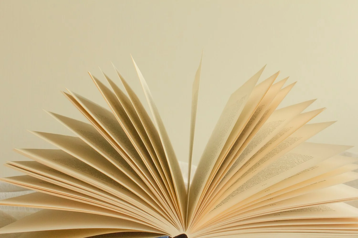 Books Like The Seven Husbands of Evelyn Hugo: 8 Picks