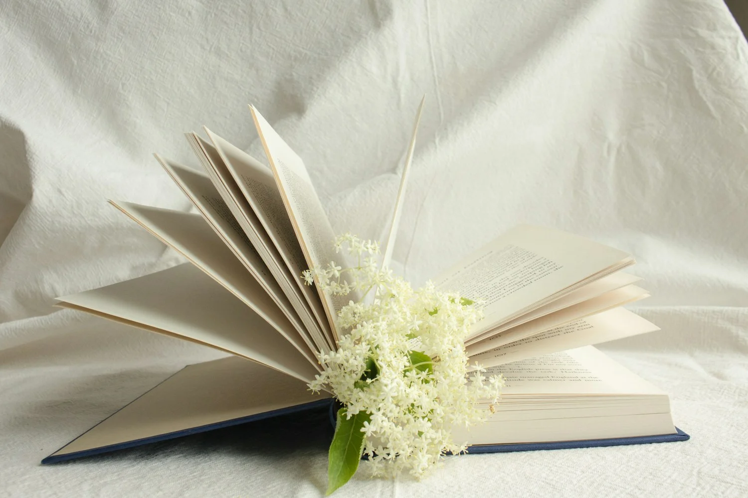 An open book with its pages fanned out around a sprig of white flowers on cream linen