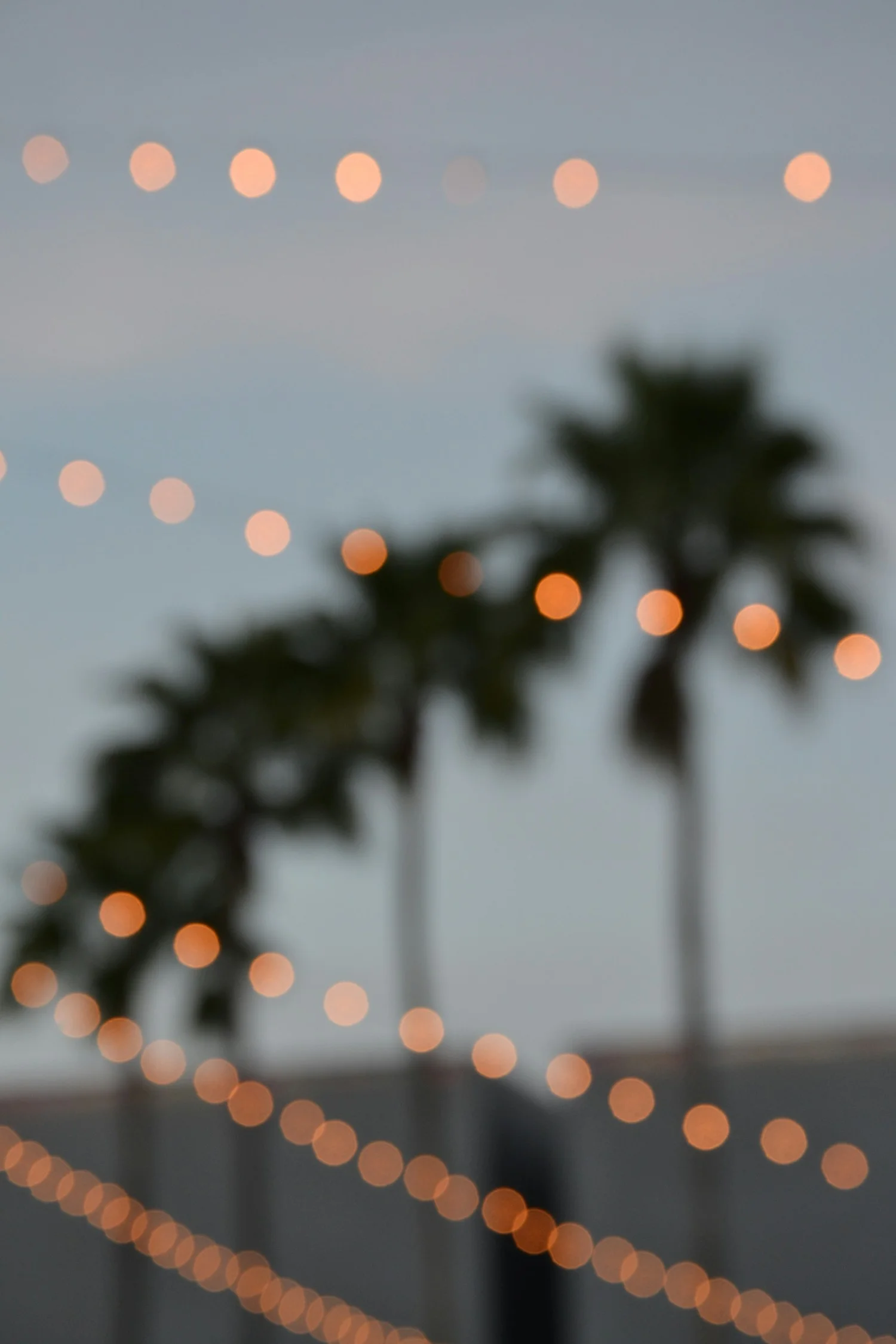 Christmas in Los Angeles: Things to Do in December 2026