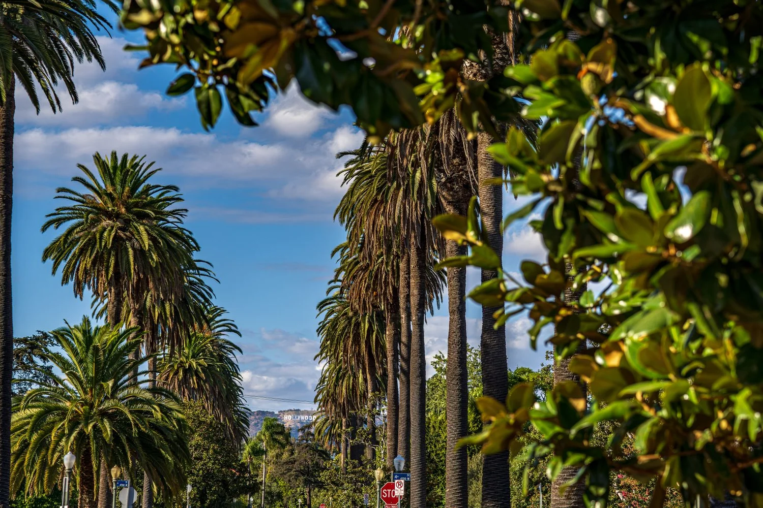 Los Angeles Travel Guide: Two Weeks of Matcha Walks & Meetups