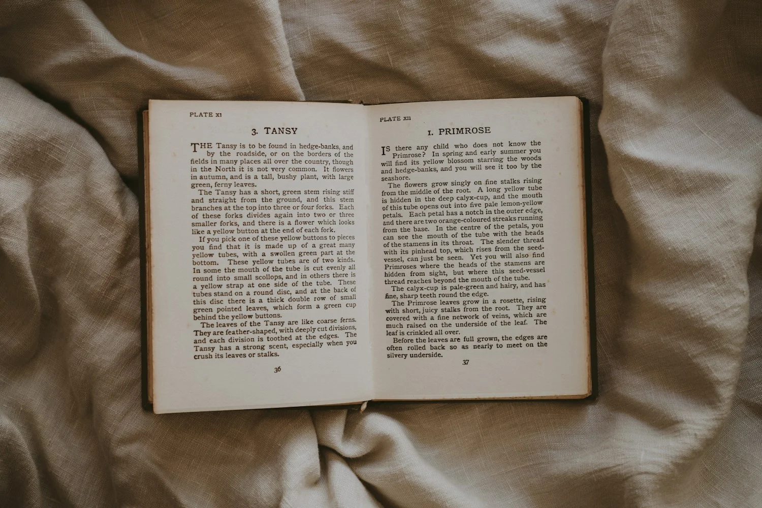 A vintage book lying open on warm oatmeal linen, the reading setup for romantic thriller books