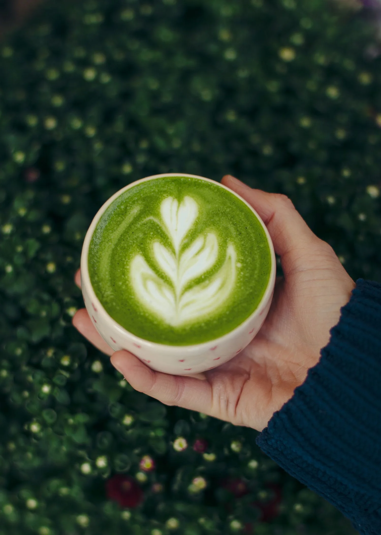 The Best Matcha in San Francisco, Ranked by a Matcha Snob