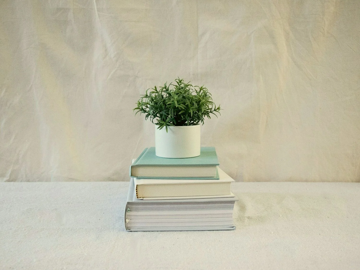 A small stack of books with a potted green plant on top, against a cream backdrop