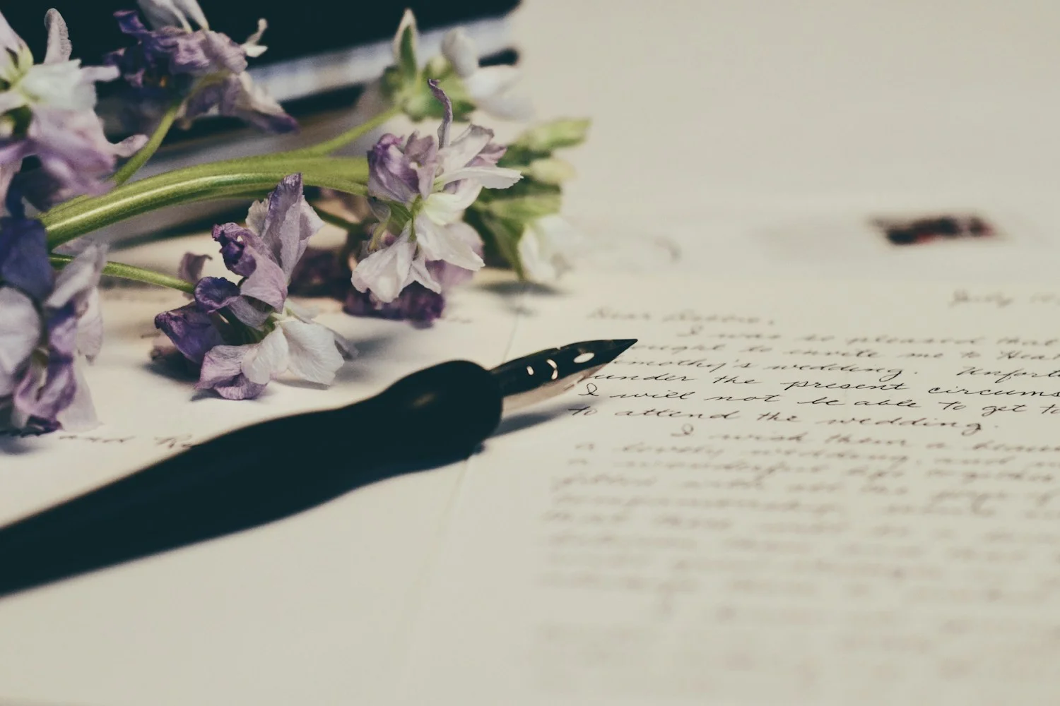 Verity Ending Explained by a Real Ghostwriter