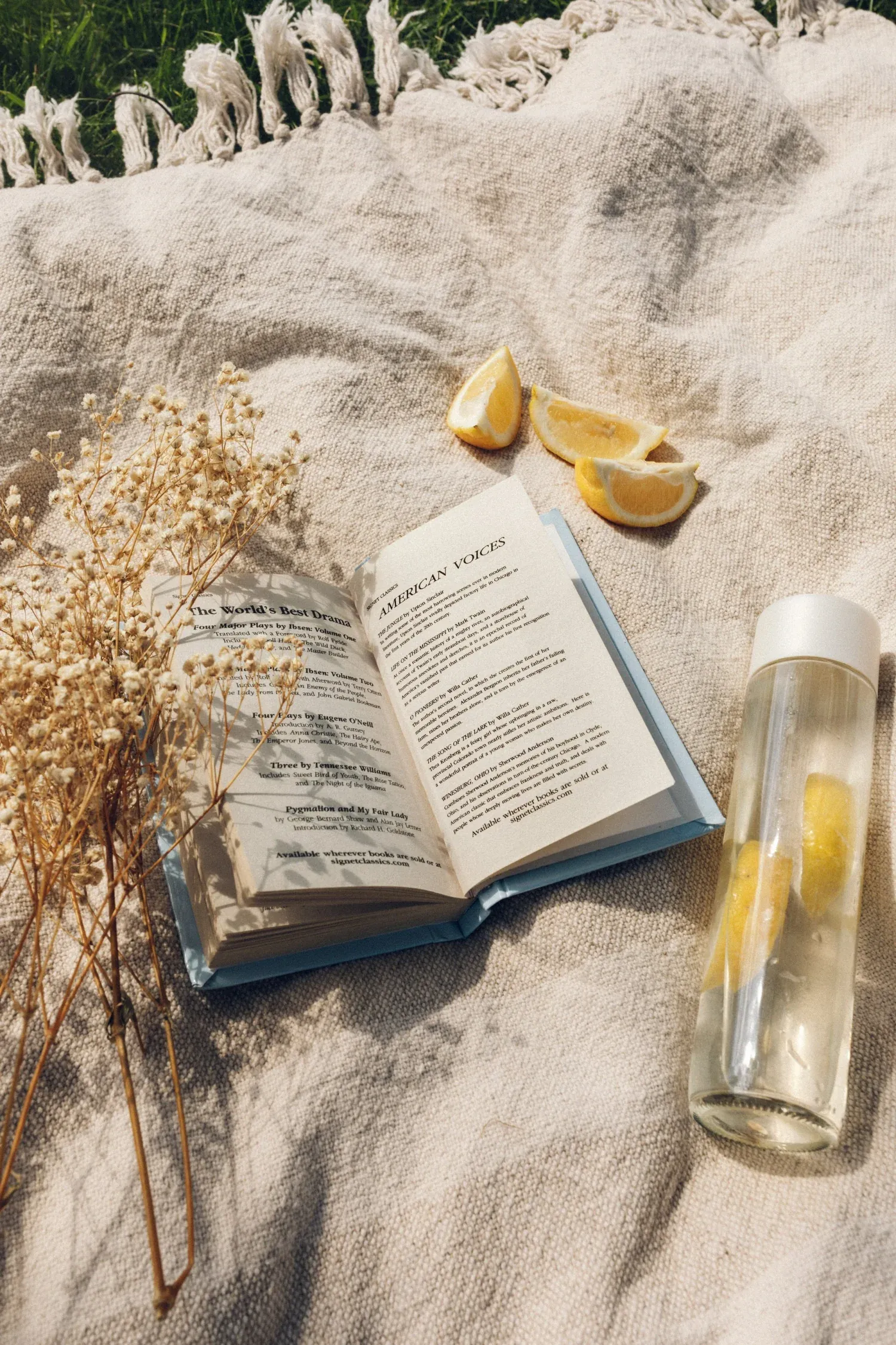 Open book on a cozy blanket alongside lemon water, symbolizing the clarity and transformation that comes from working with a developmental editor to refine your manuscript with Amy Suto’s expert guidance.