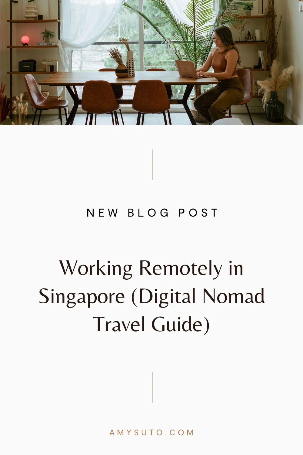 Working remotely in singapore pin