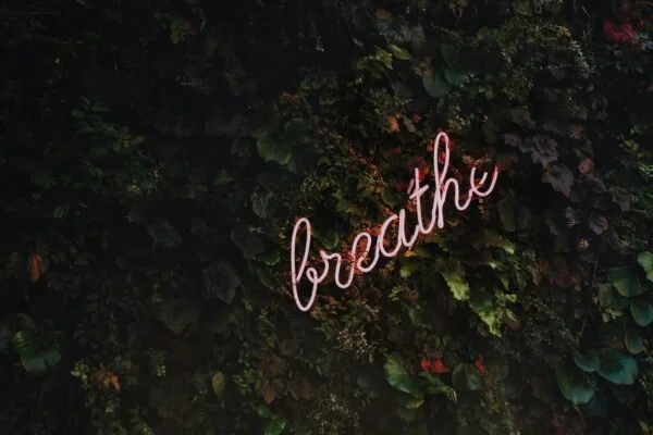 Amy-Suto-Lessons-Writers-Yoga-Meditation