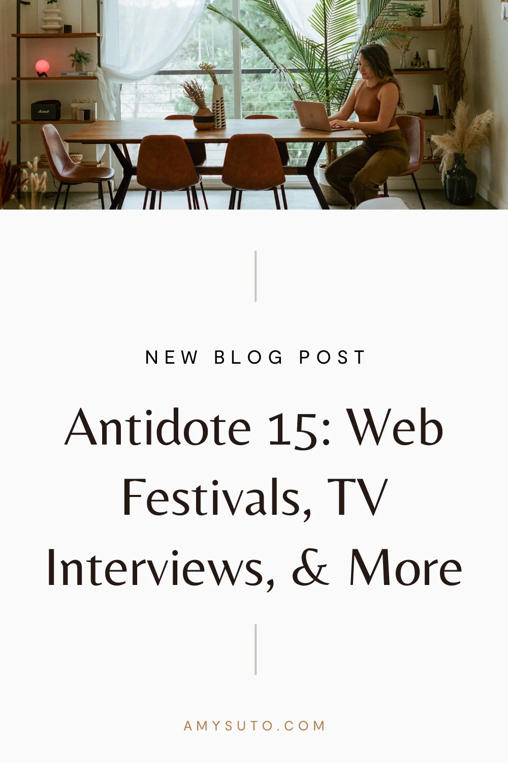 Antidote web festivals tv interviews & more