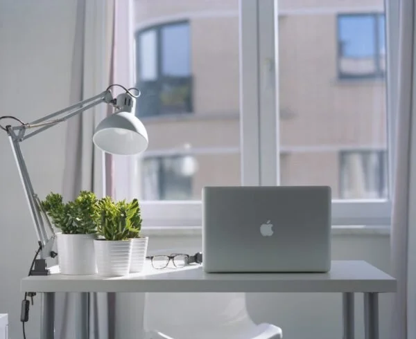 plants: an introvert's favorite work buddy