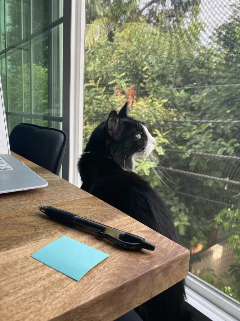 Quarantine Nomads: How Freelancers Can Live and Work Remotely and Safely During COVID-19