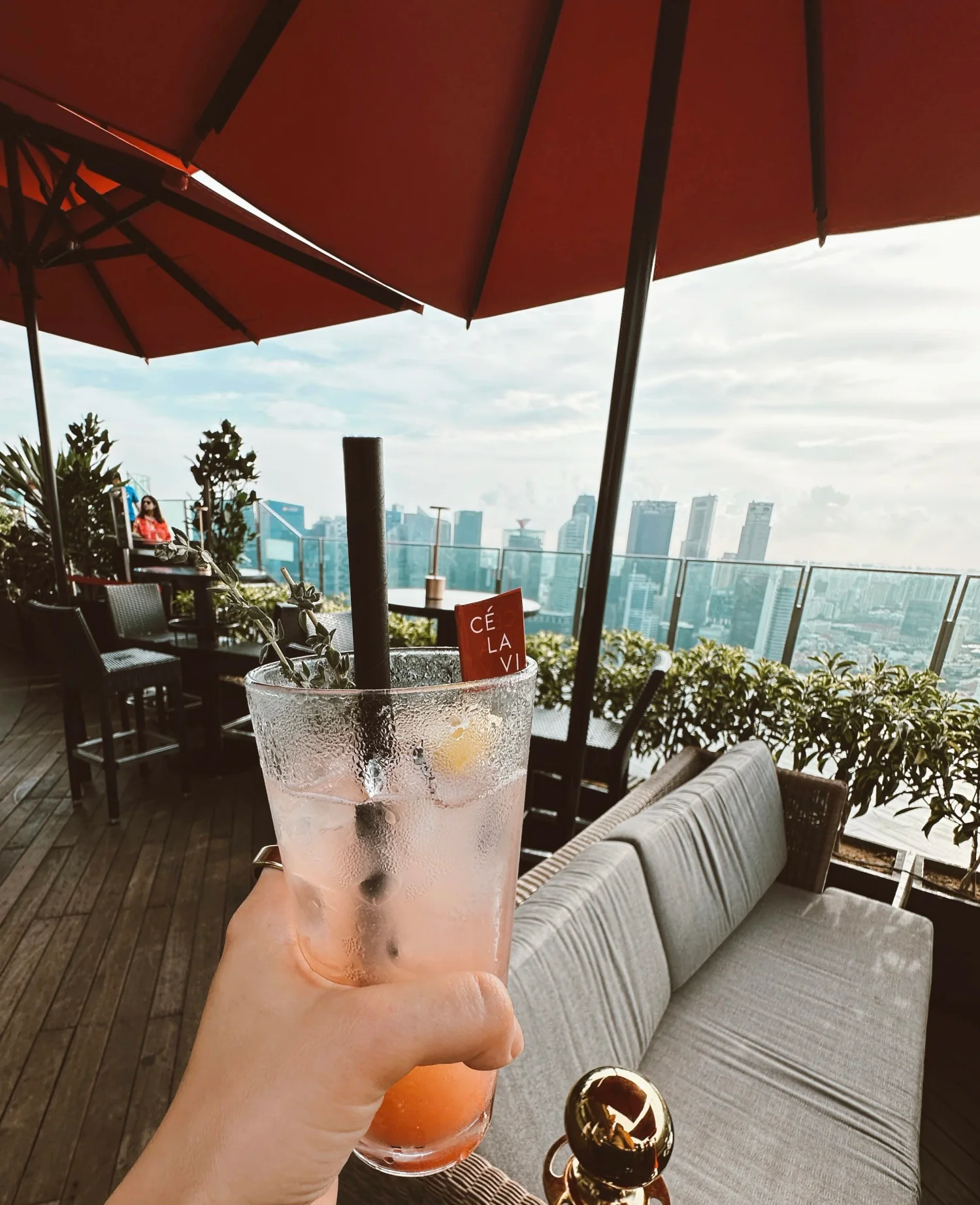 Marina Bay Sands Rooftop Bar