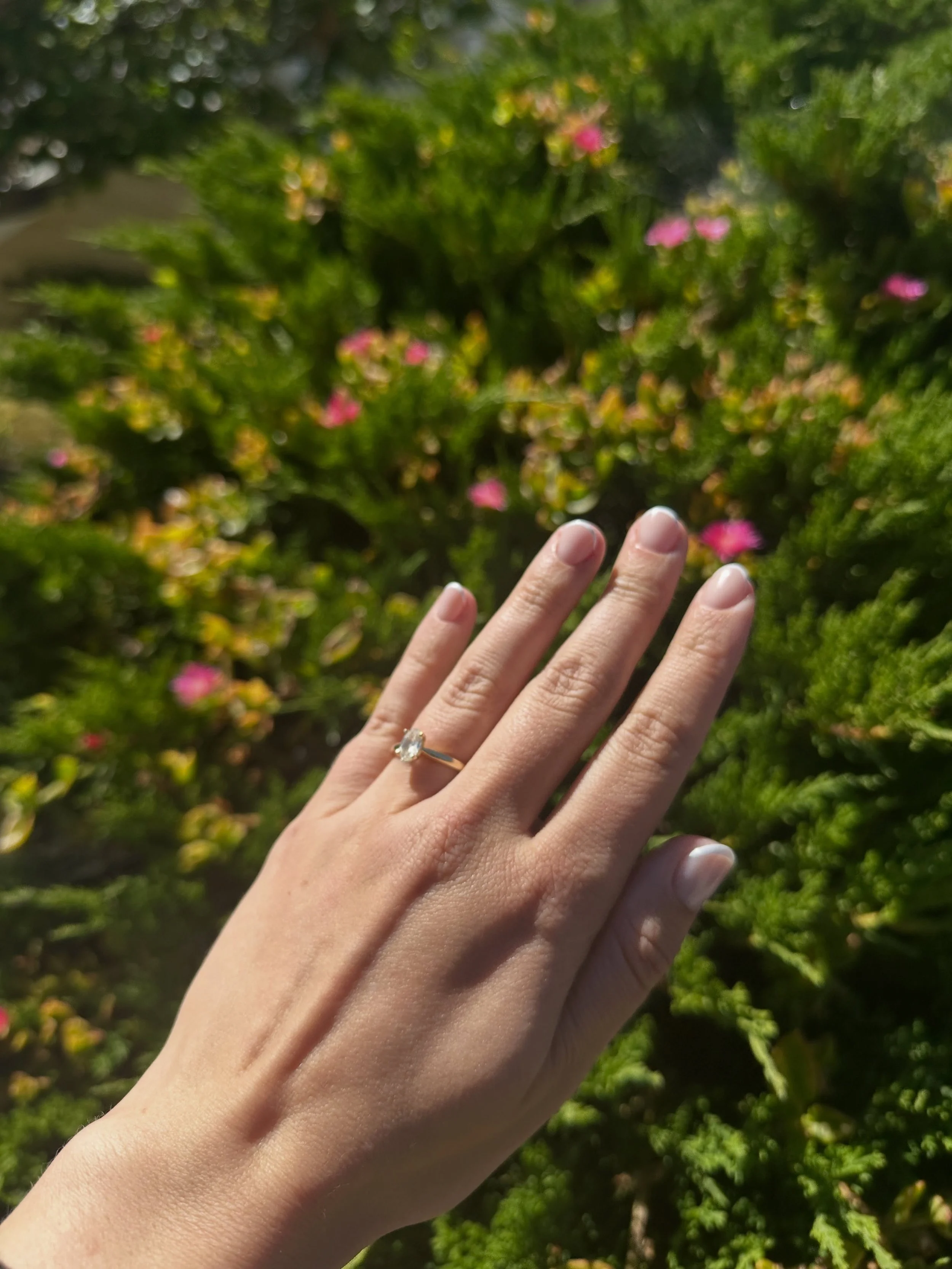 lately: getting my nails done, going on matcha walks, enjoying the rare SF sun, writing new novel pages☀️✍️