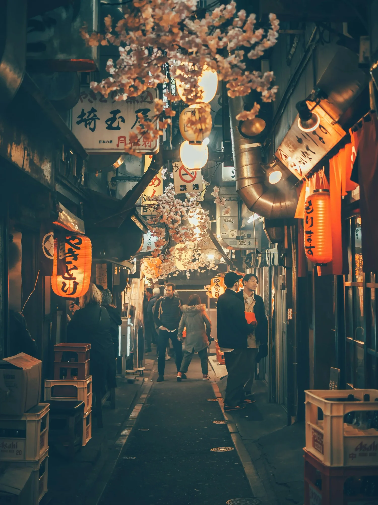 Working Remotely in Tokyo, Japan