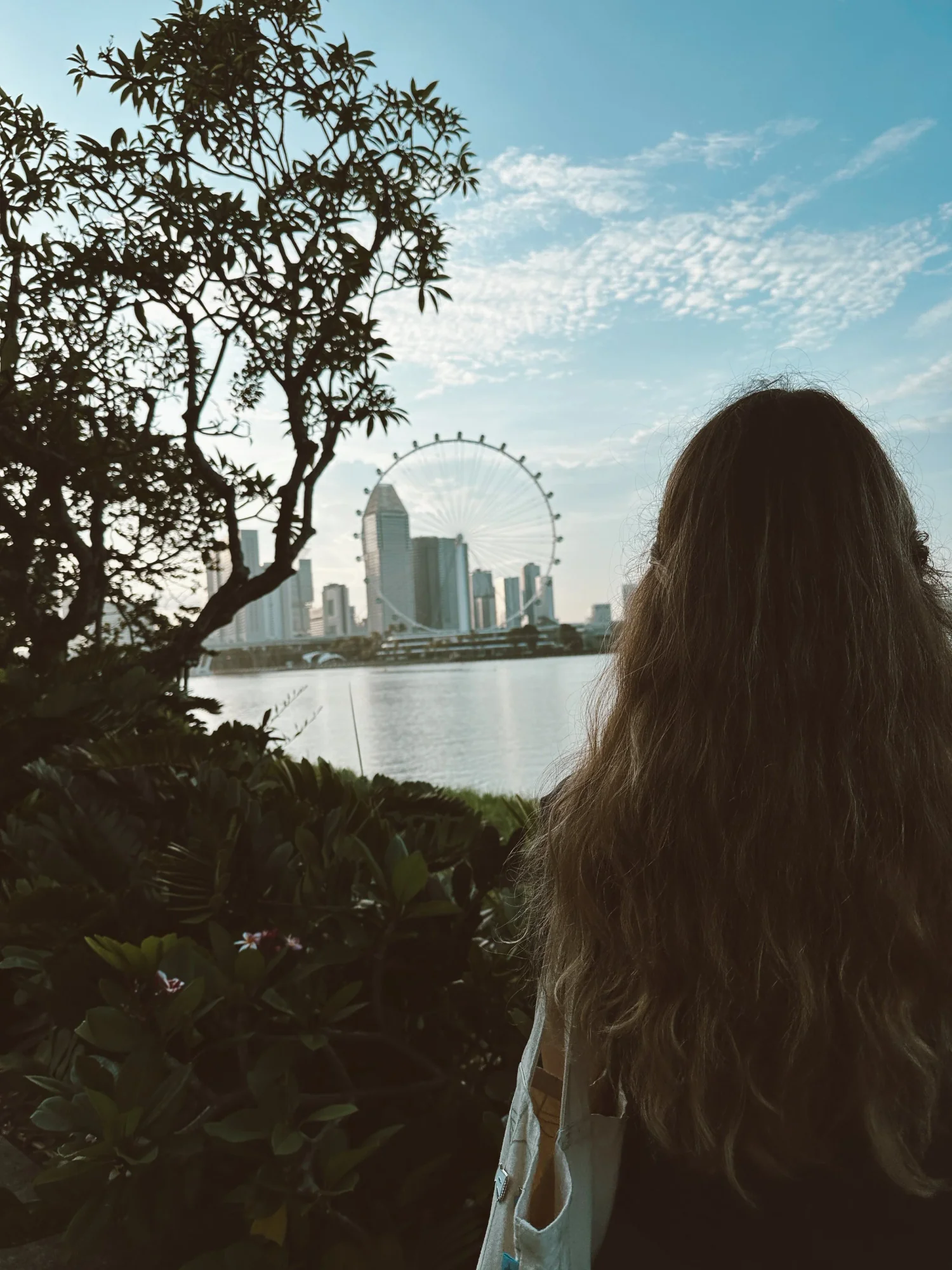 Singapore travel guide