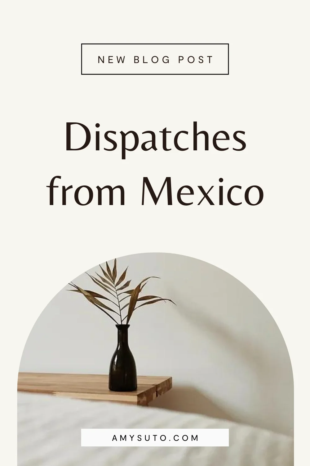 Dispatches from mexico