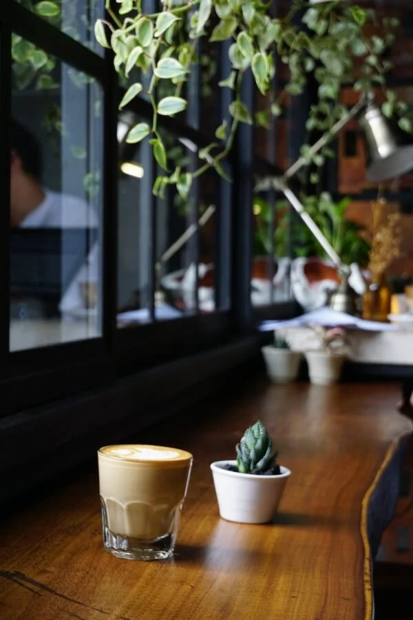 Amy-Suto-Best-Los-Angeles-Coffeeshops-Write-Screenplay-Living-in-LA