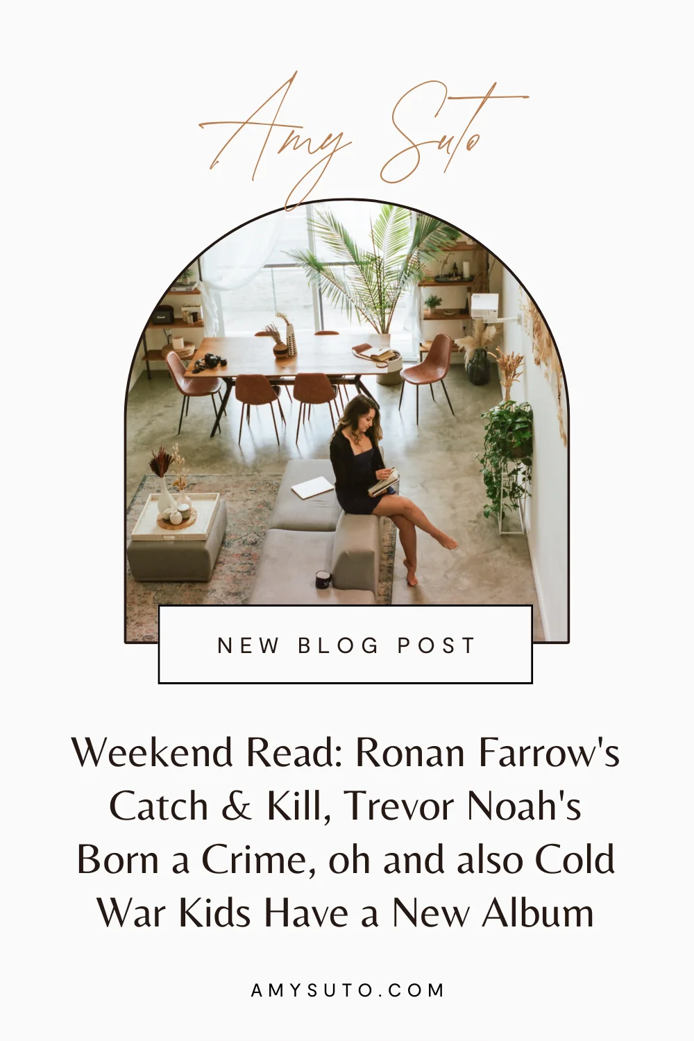 Weekend read ronan farrows catch & kill trevor noah's born a crime