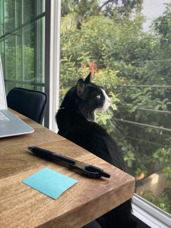 Amy-Suto-Quarantine-Nomads-Freelancer-Remote-Work-Safety-COVID-19-Ghostwriting-Freelance-Writing