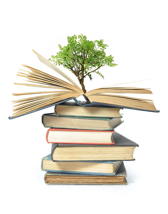 Amy-Suto-Essential-Habits-for-Writers