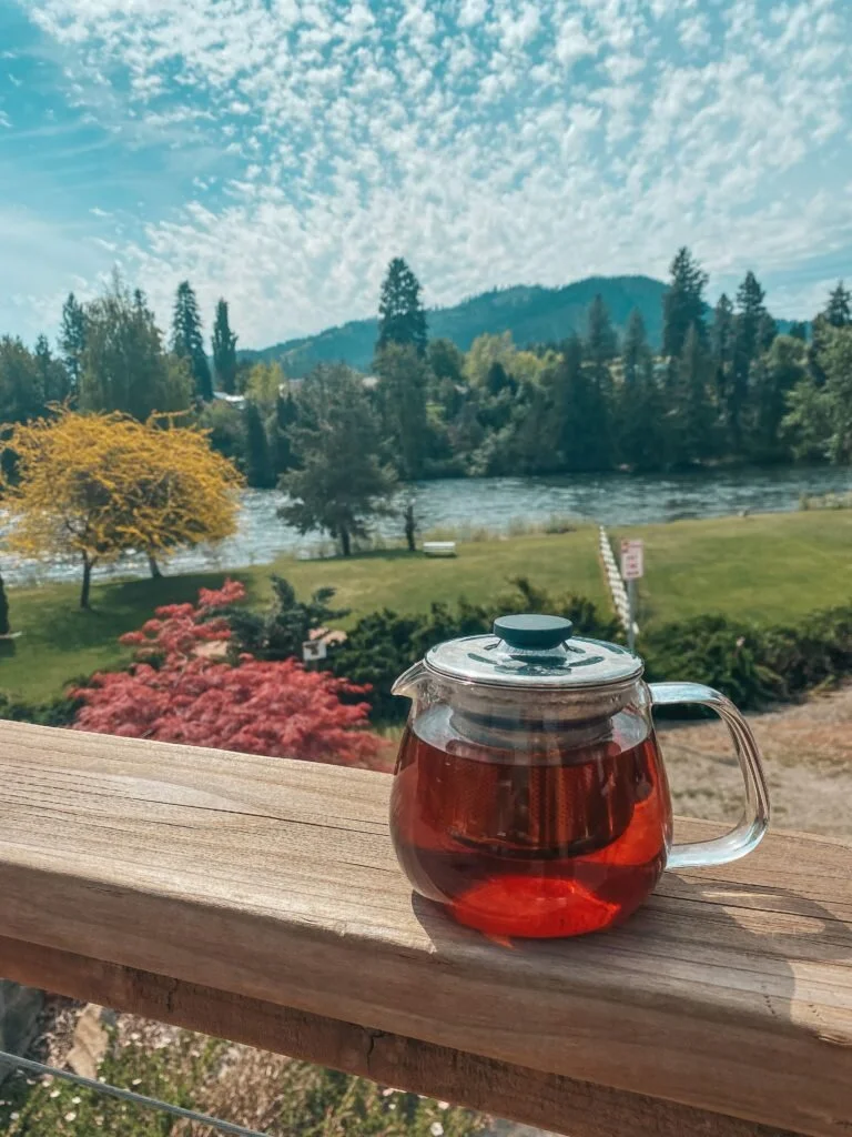 3 Tips for Working Remotely as a Freelancer On a Budget