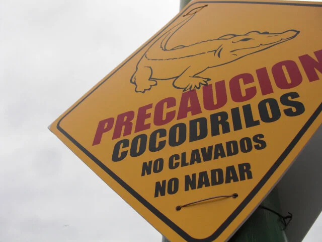 Dispatches from Mexico