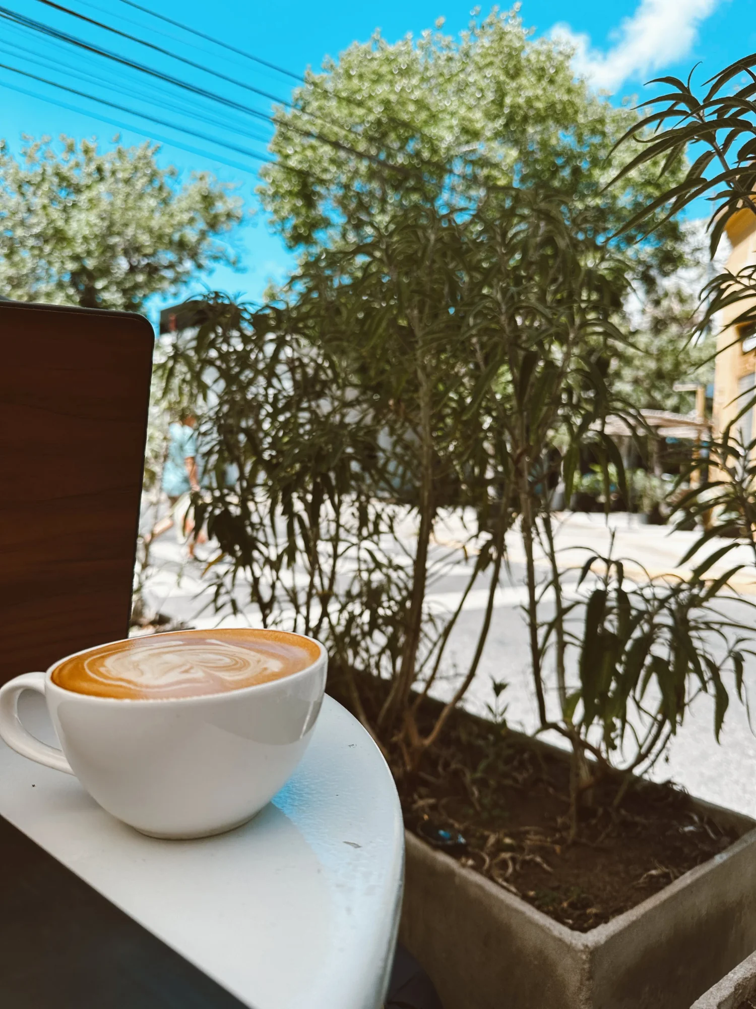 Working Remotely in Buenos Aires, Argentina