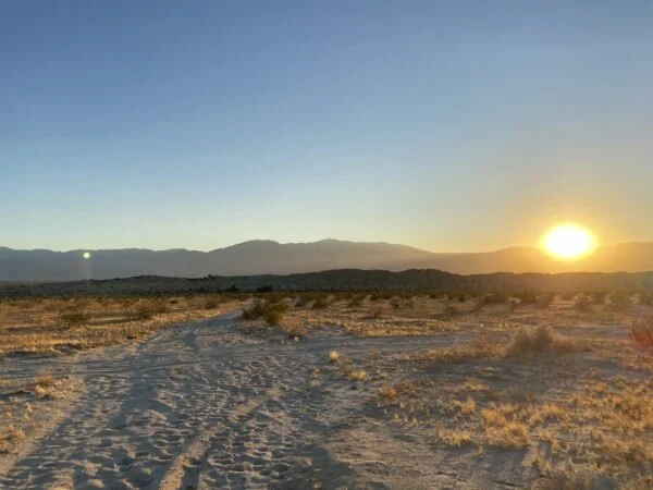 Amy-Suto-Quarantine-Nomads-Freelancer-Remote-Work-Safety-COVID-19-Ghostwriting-Freelance-Writing-Palm-Springs-Desert-California